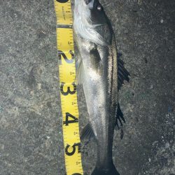 @余暇の終わりに