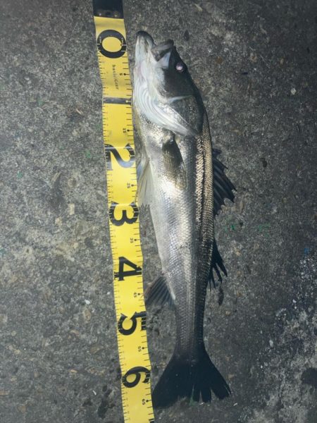 @余暇の終わりに