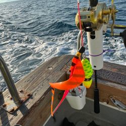 激渋釣行 気合いの一枚