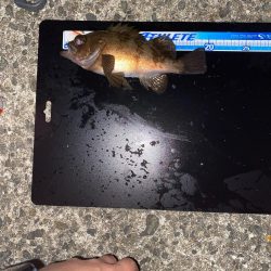 フロートリグメバル