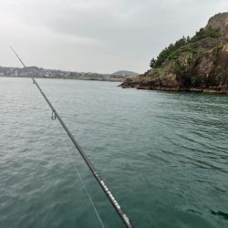 【鳥取港】船で近海アジ釣り｜雨の中諦めかけた時にデカアジ爆裂！！