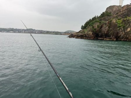 【鳥取港】船で近海アジ釣り｜雨の中諦めかけた時にデカアジ爆裂！！