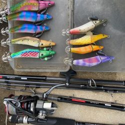 トランスエギングで春イカにせまる！