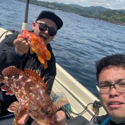 江住湾で胴突仕掛けで