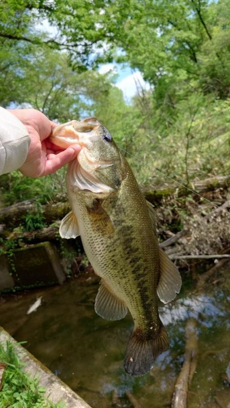 ウキウキパターン