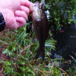 クランキング！