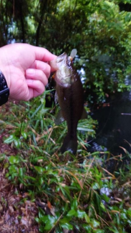 クランキング！