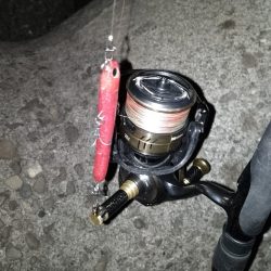 30分の短時間勝負