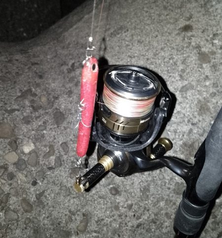 30分の短時間勝負