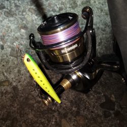 急激な増水直後は？