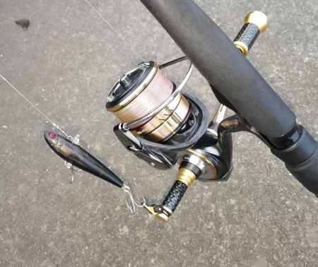 シーバス不在？