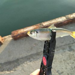 初心忘れべからず