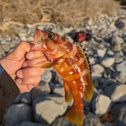 陸っぱり釣行記