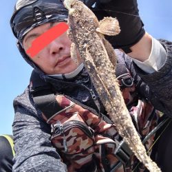 ちびマゴチ釣れました。