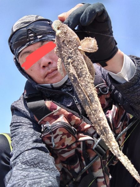 ちびマゴチ釣れました。