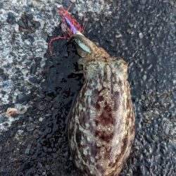 変化はチャンス