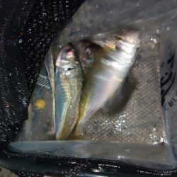 いつもの時間に