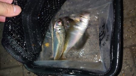 いつもの時間に