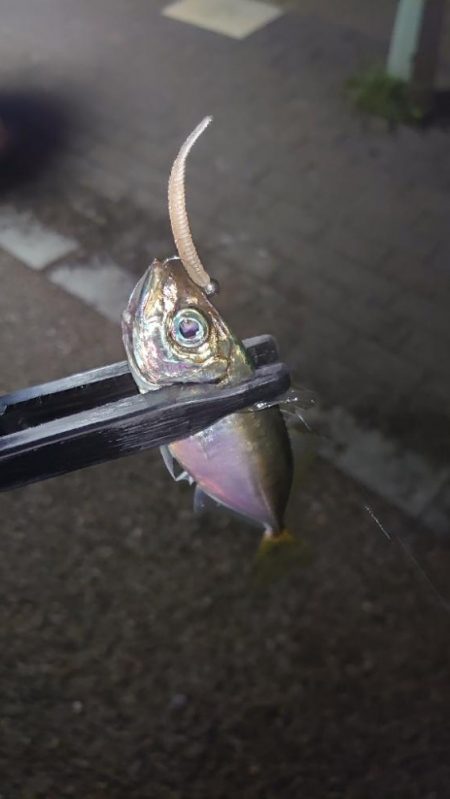 持ってて良かったタングステン！