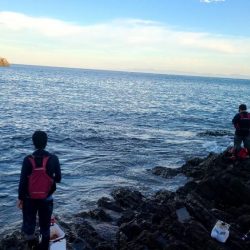 和歌山市江（吉丸渡船）でグレ釣り