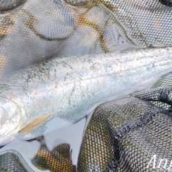 引原川、本流シーズン開幕!