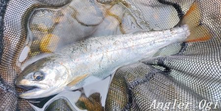 引原川、本流シーズン開幕!