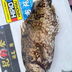 和歌山大引の磯でフカセ釣り