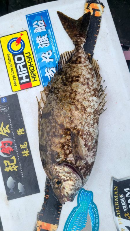 和歌山大引の磯でフカセ釣り