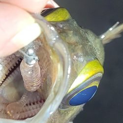 やり続けること◯時間