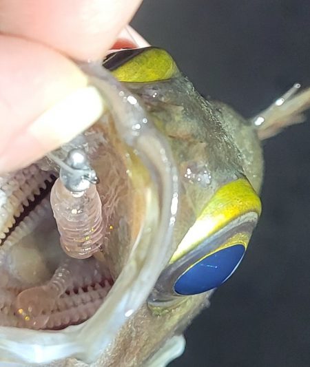 やり続けること◯時間