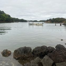 今回の天草ではやっと１匹釣ることが出来ました