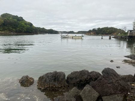 今回の天草ではやっと１匹釣ることが出来ました