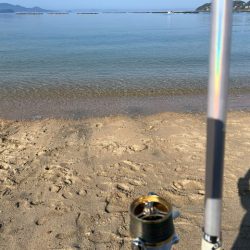 投げ釣りの季節が始まりました