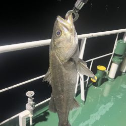 津久見沖防波堤近く