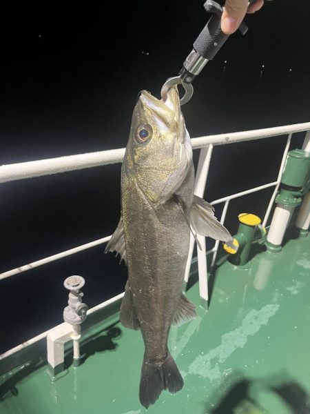 津久見沖防波堤近く