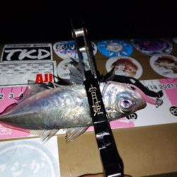 地元春アジ開幕2連勝