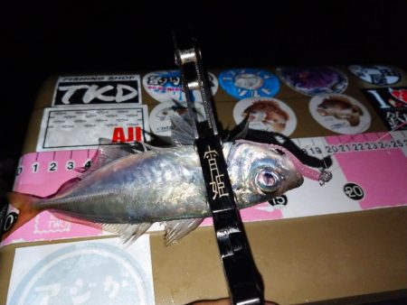 地元春アジ開幕2連勝