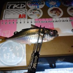 いやー渋かった