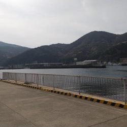 アジが釣れなくて、和歌山へ!