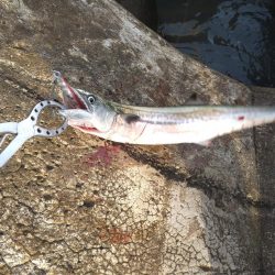 横風の中で流れに身を任せ…