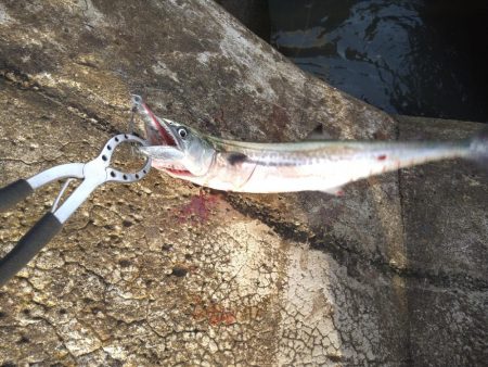 横風の中で流れに身を任せ…