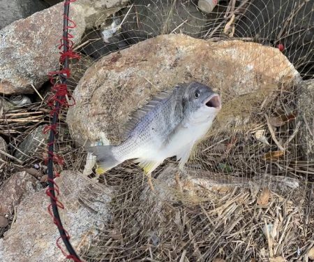 ★★のんびり釣行★★