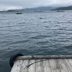 たかたかの釣り日記