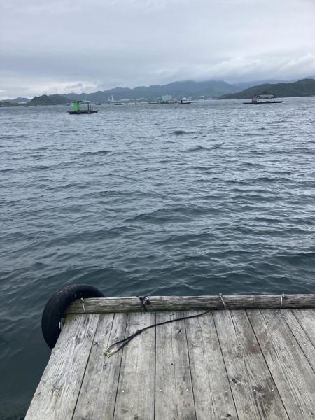 たかたかの釣り日記