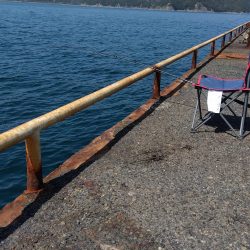 メガフロート淡路　