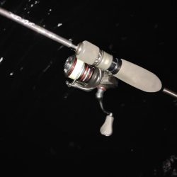 アジング＠南港