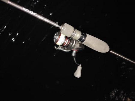 アジング＠南港