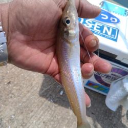 シーズン３回目の釣行