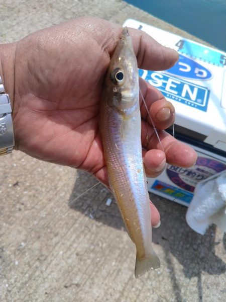 シーズン３回目の釣行