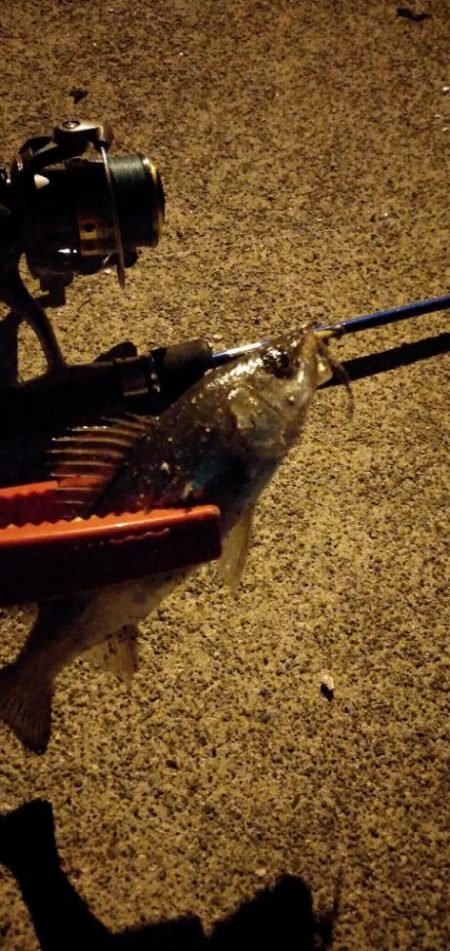 ライトゲームでまさかの、、